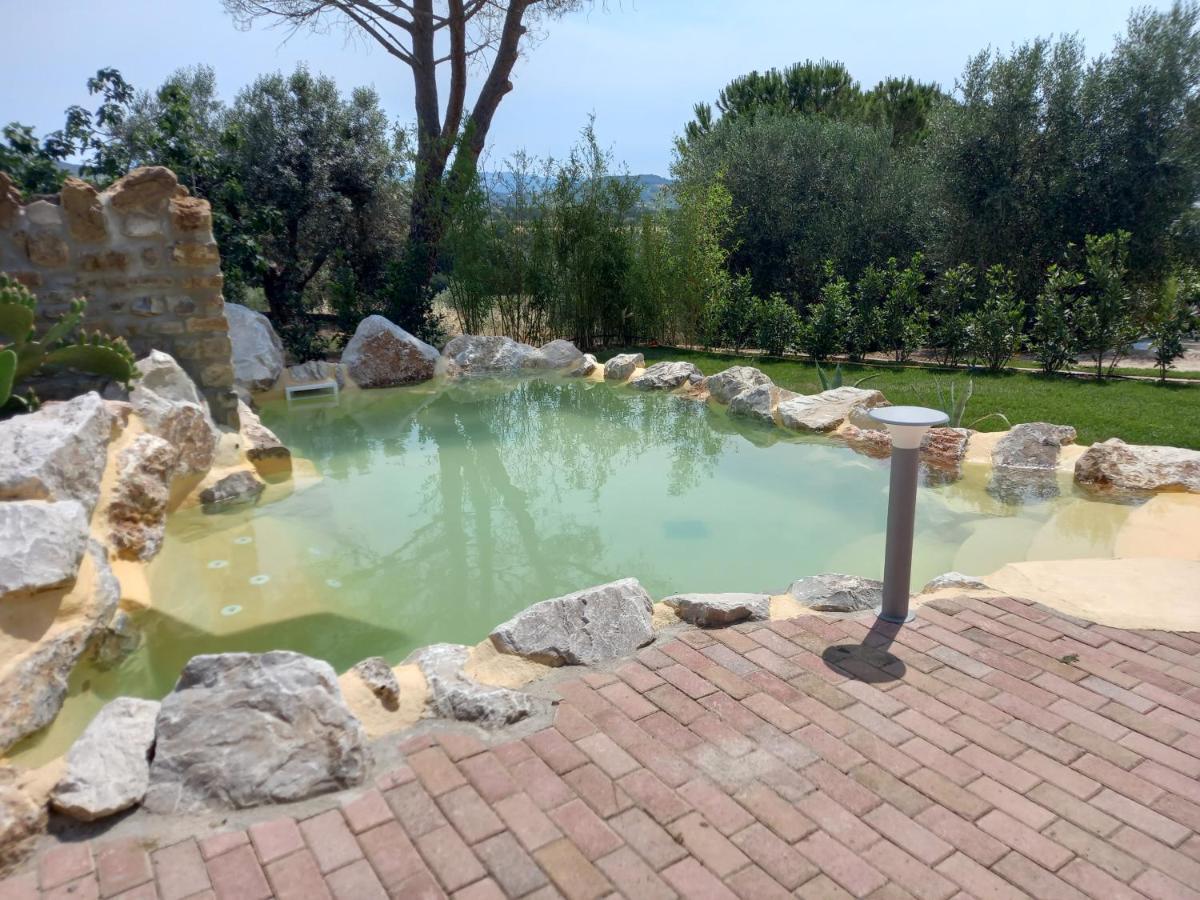 Agriturismo La Fontanella & Glamping Suvereto Exteriör bild