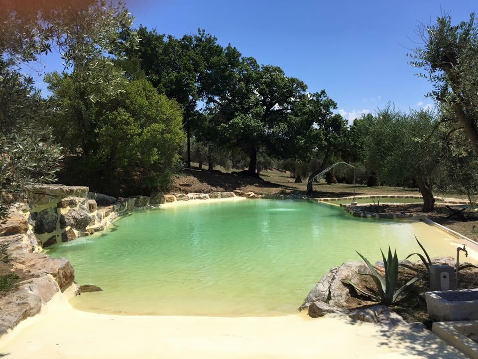 Agriturismo La Fontanella & Glamping Suvereto Exteriör bild