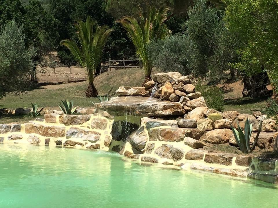 Agriturismo La Fontanella & Glamping Suvereto Exteriör bild