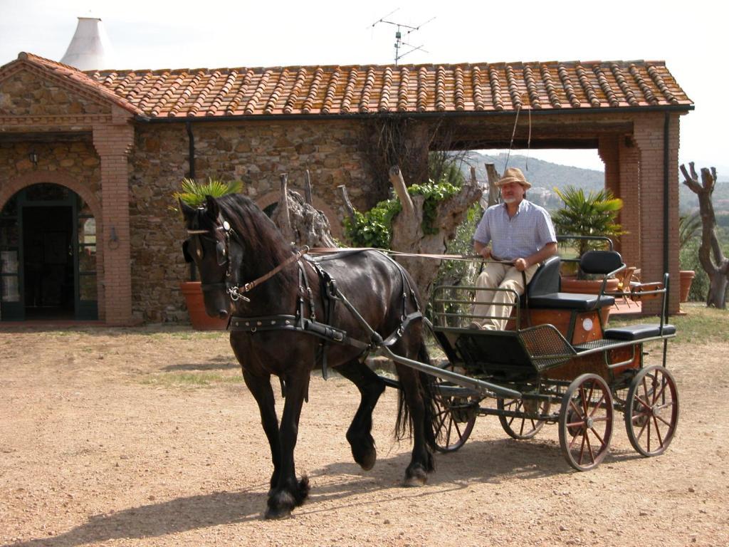 Agriturismo La Fontanella & Glamping Suvereto Exteriör bild
