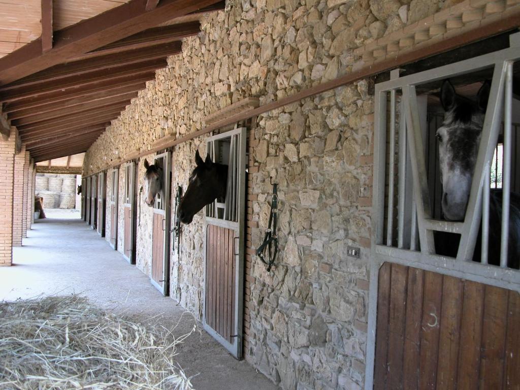 Agriturismo La Fontanella & Glamping Suvereto Exteriör bild